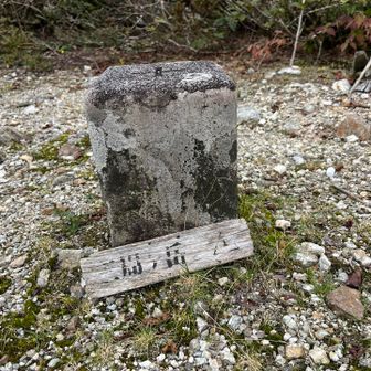 三角点がポツンとあるピークに到着。付近を探すと山名板が端に転がってた。ここが山頂か。感動はない。これからまたあの薮道を折り返すんだという落胆しかない。