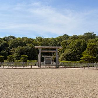 空気の変わる場所。
少し戻って森の中へ🌳
すぐに寄ってくるメマトイや蚊達🦟