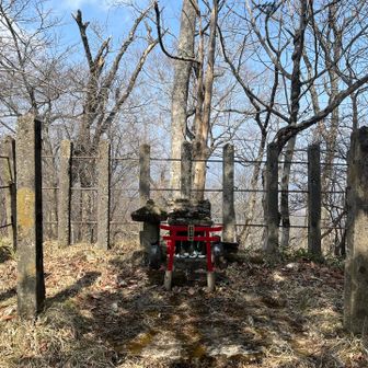 めちゃくちゃ汗かきながら登頂
小さな鳥居っすね
お疲れ様です