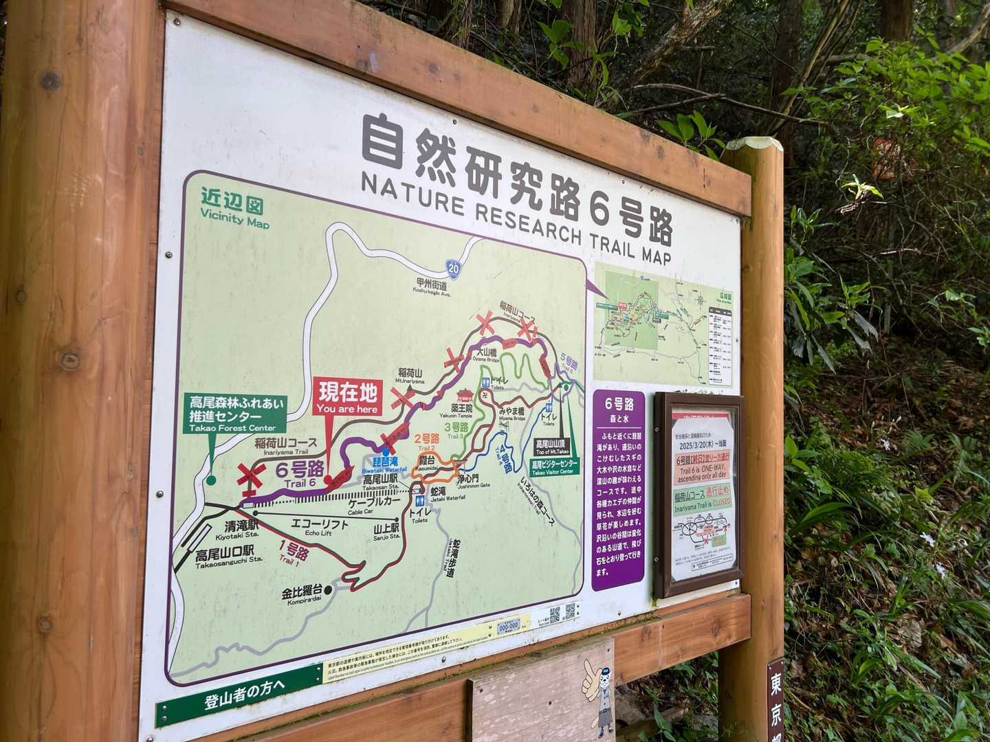 6号路
今日はもの凄い人の数……