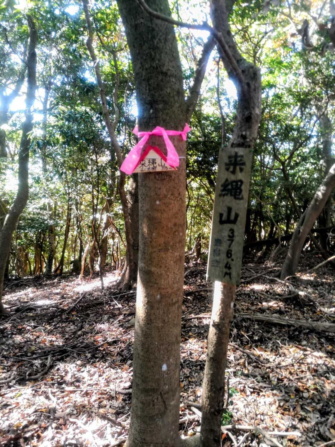 応利山登山口-応利山-来縄山-報恩寺 周回コースの写真