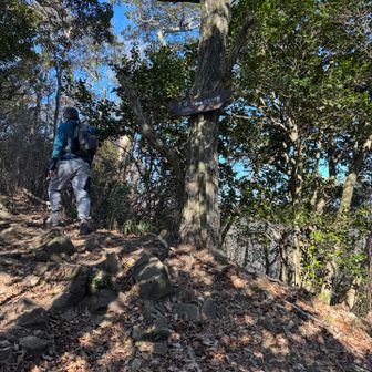 分岐に出ました
