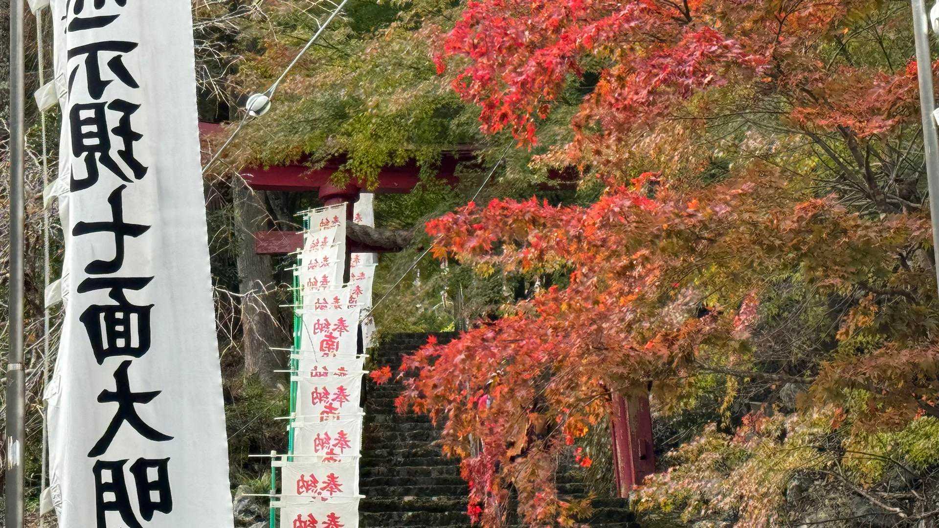 身延山周回 | 日蓮宗総本山の聖地。往時の参道を行けば富士山・南アルプスの眺望の写真