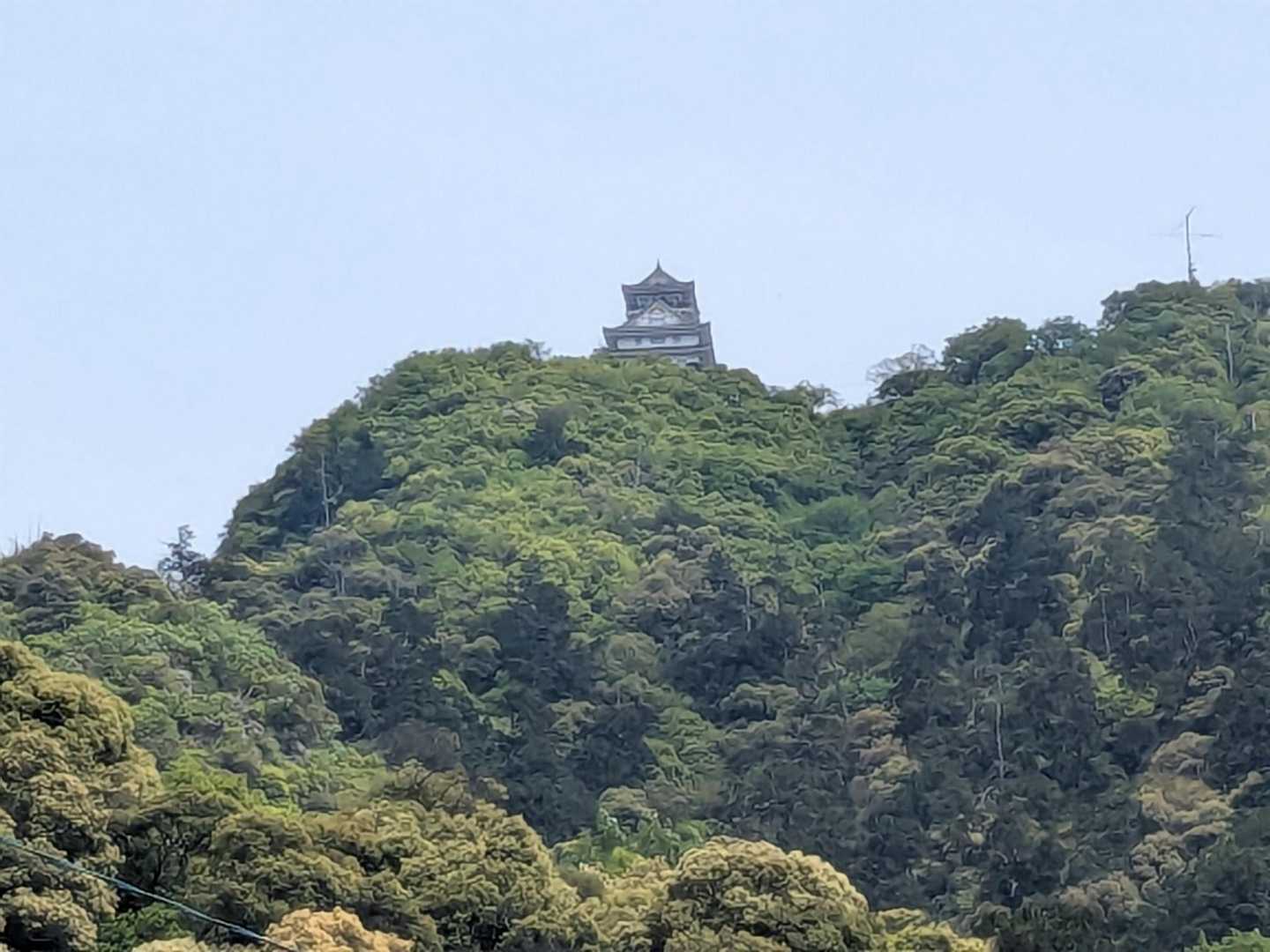 岐阜公園から岐阜城を望む