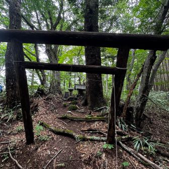 ⛩️
んんッ⁉️