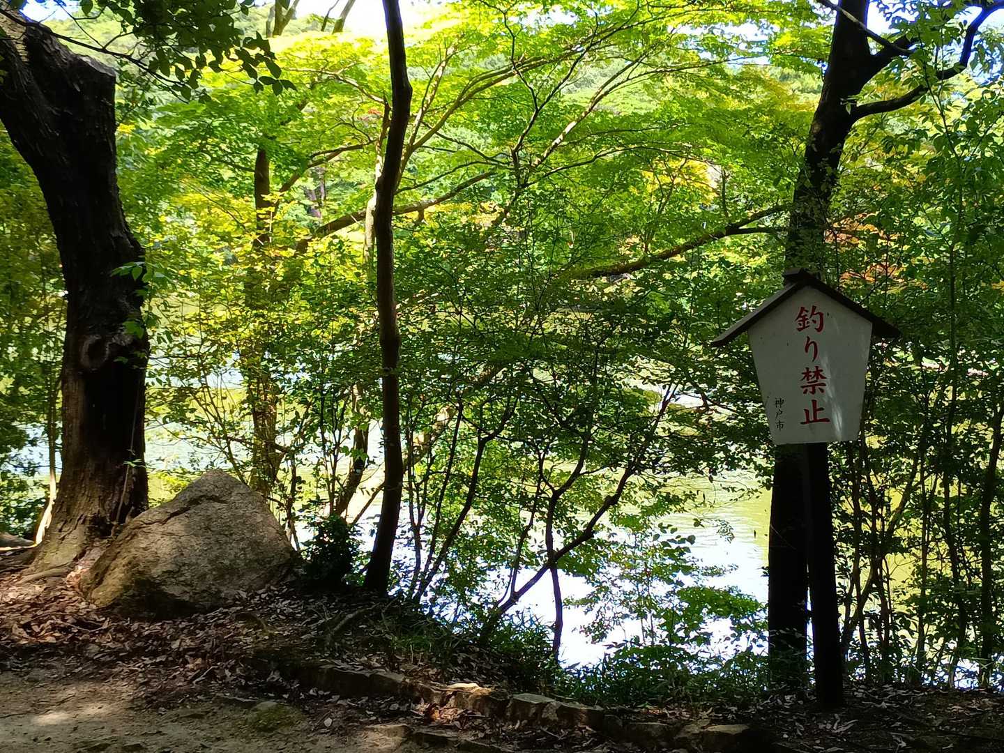 再度公園に到着！