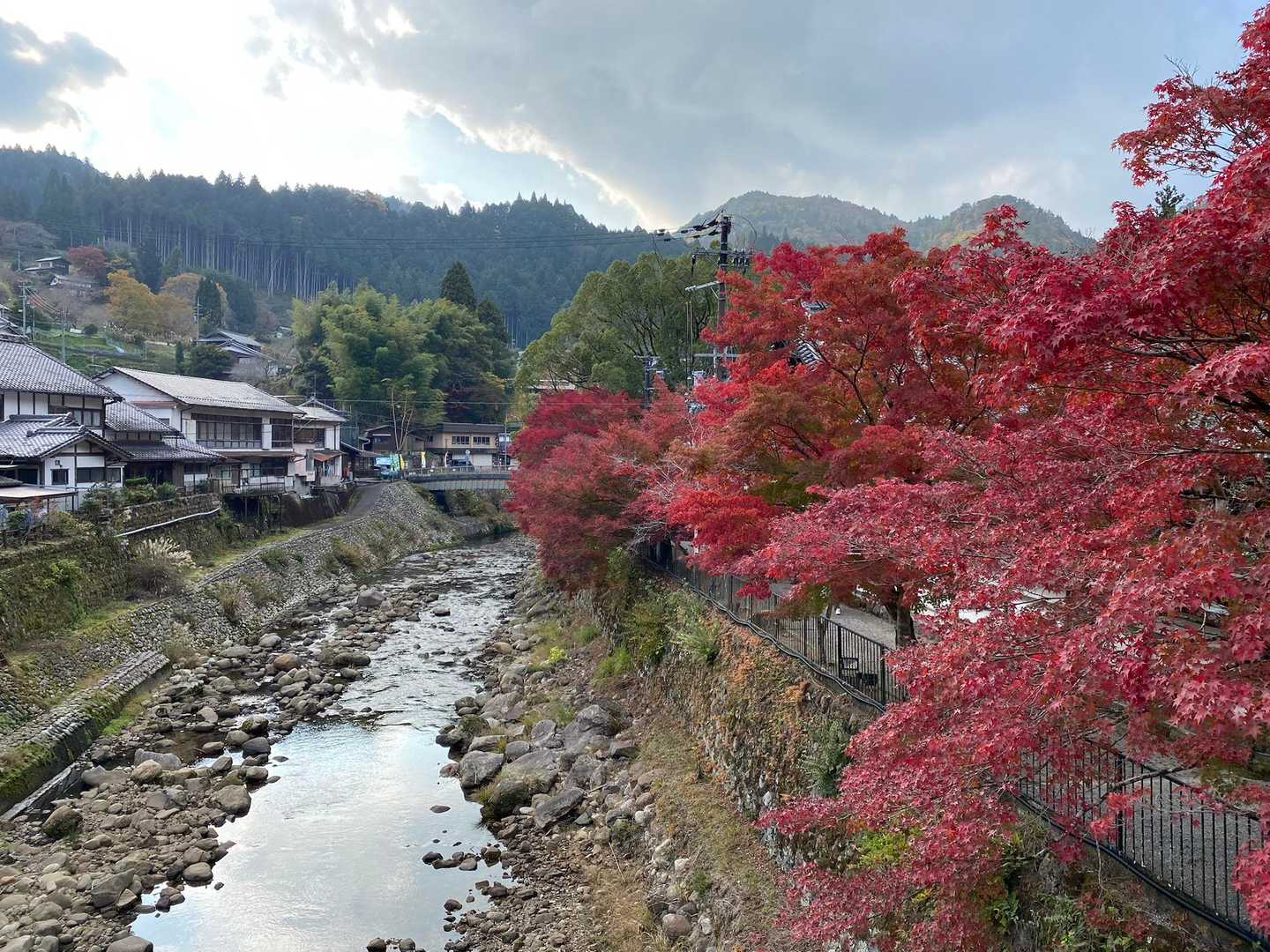 室生山 往復コースの写真
