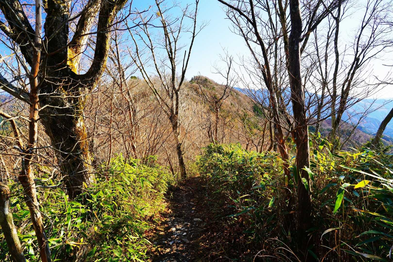 正面に見えるコブは四等三角点［岩ノ谷］1428.55m