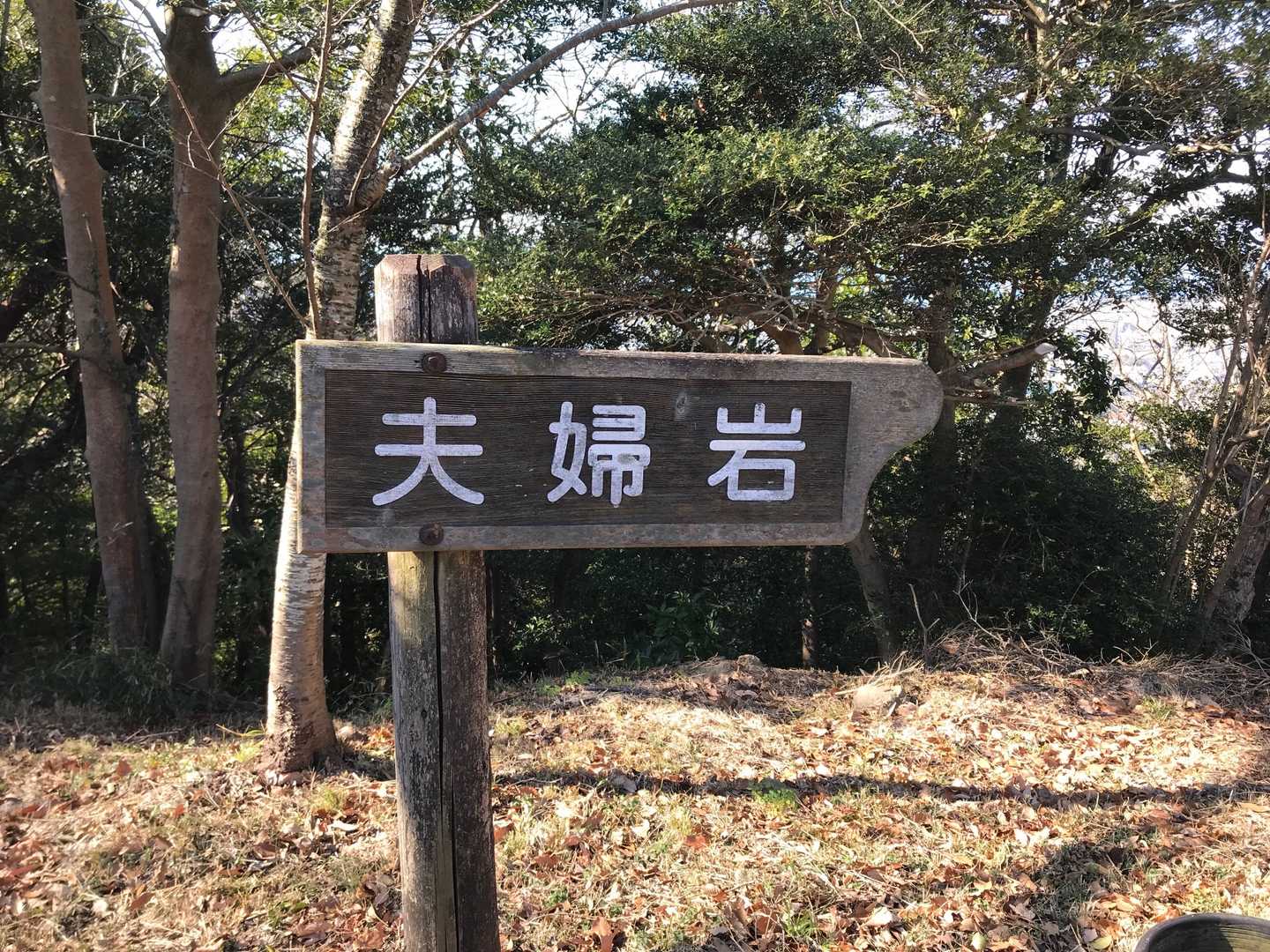 夫婦岩🪨✨