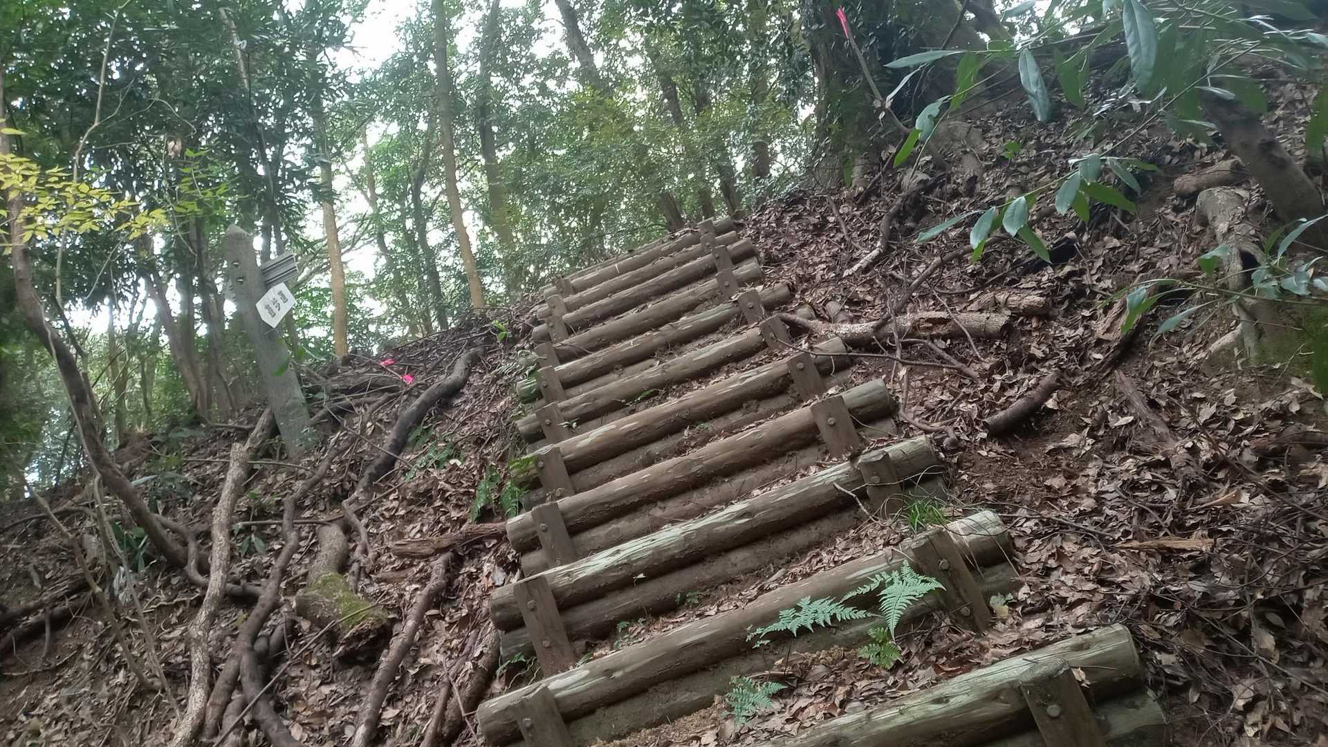階段もあり