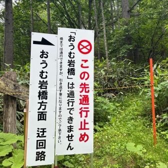県道55号中之条草津線を横断した先に続いている草津道ですが通行止めの看板が💦渋峠～芳ヶ平～草津温泉までの道筋は文献がなく、大正初期の地図や過去レポを頼りに適当にルートを引いてきたので「おうむ岩橋」がどこを指しているのかわかりません。橋で引き返すことになると書いてあります。橋がないのだろうか？渡渉できる程度の川かもしれないのでとりあえず行ってみよう！（無謀）