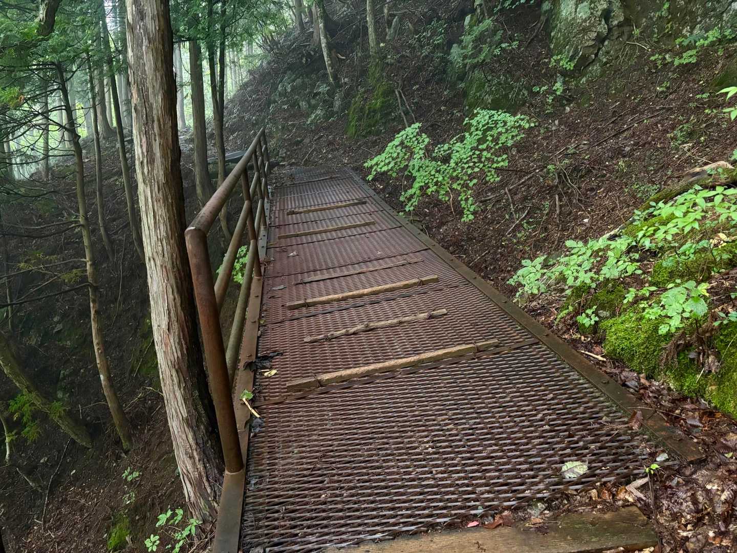 撓むし斜めっていて滑るのよ💦