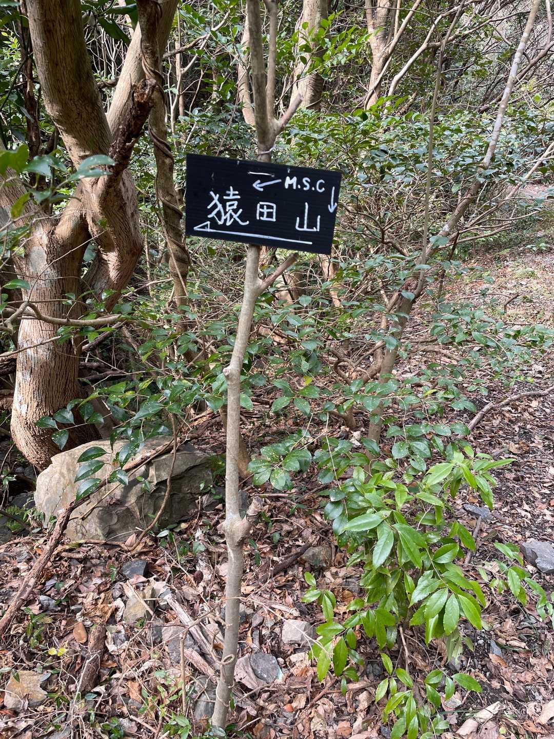 YAMAPには載ってないコース
帰りに寄りたかったけど、娘が早く帰りたいとのことで登れず。。
