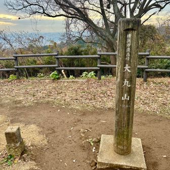 整備された道でとても歩きやすかったです👍