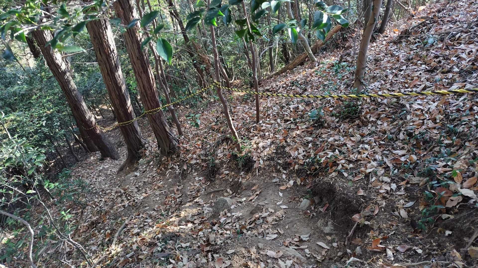 他の方も載せてましたが………
ここから激下り危ないﾃﾞｽ⚠️
もう少し下の方までロープ欲しかったかも…

ついでに…もっと太いしっかりとしたロープ希望したいかも…