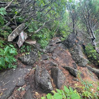 真狩コースの9合目の分岐から避難小屋へ向かいます