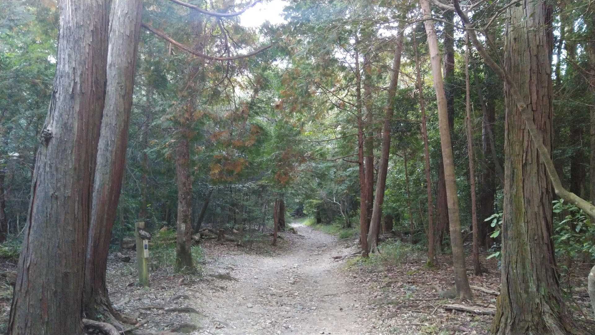 葦毛湿原・岩崎自然歩道入口-葦毛湿原-座談山 周回コースの写真