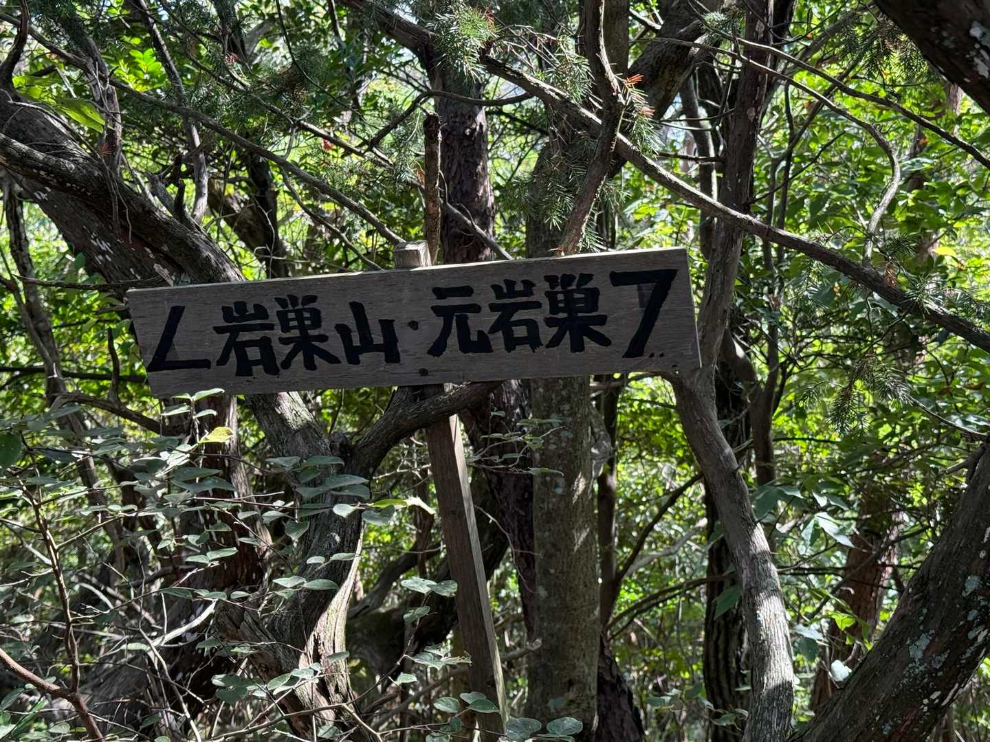 元岩巣山-岩巣山 往復コースの写真