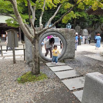 お孫１号。解放中(笑)