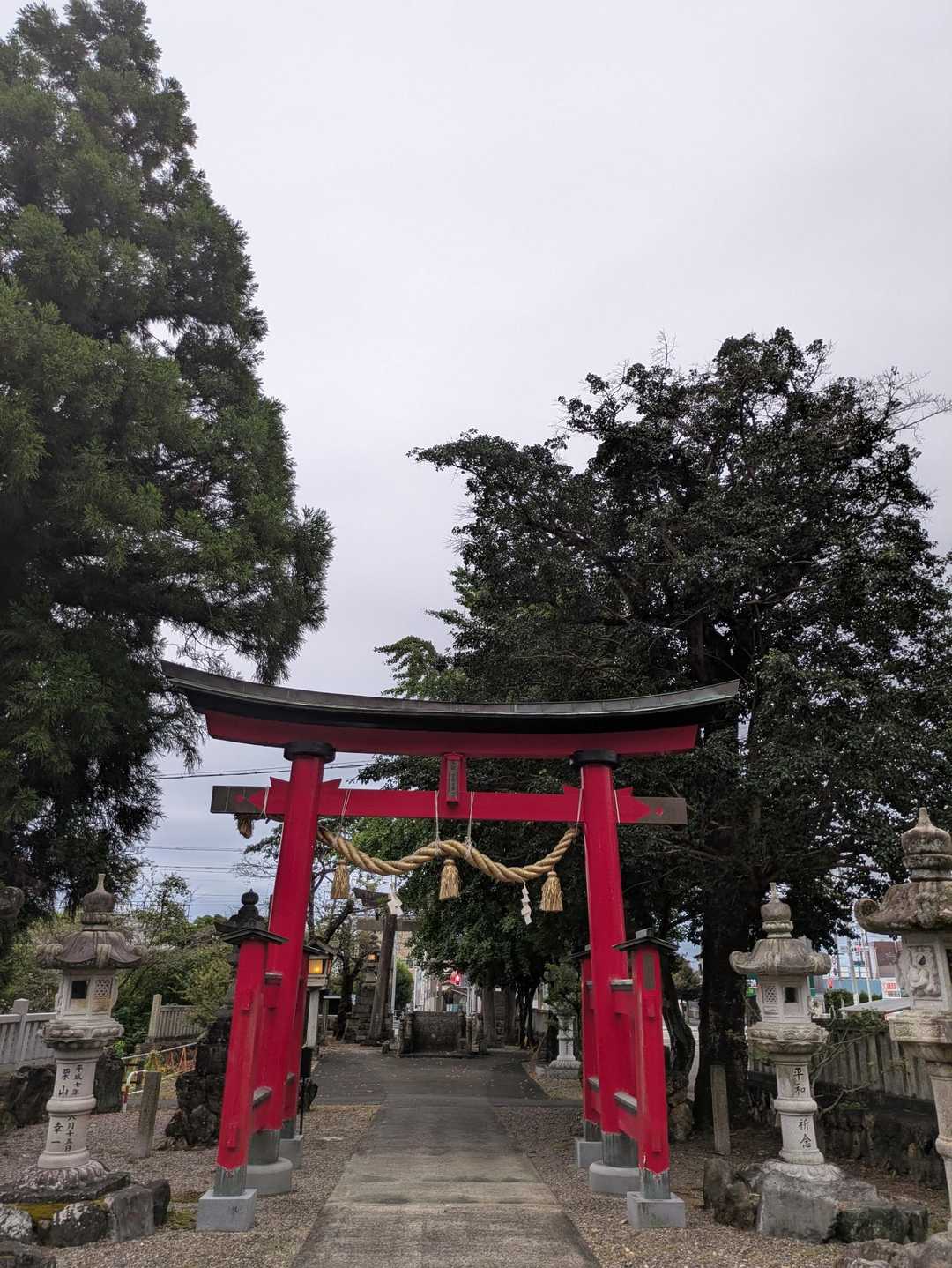 白山大権現参道口-野一色権現山-洞山-鷹巣山 往復コースの写真