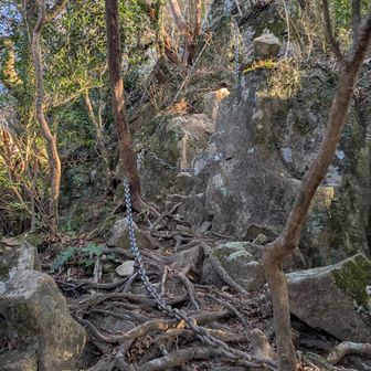 冒険コースのハイライト
これでもかとぶっとい鎖が出てきます💪