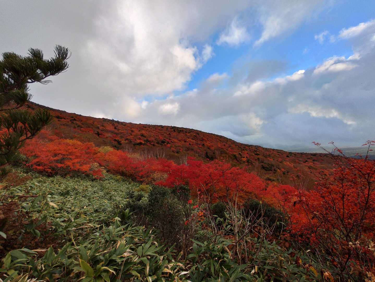 山を見上げると真っ赤な山と空。