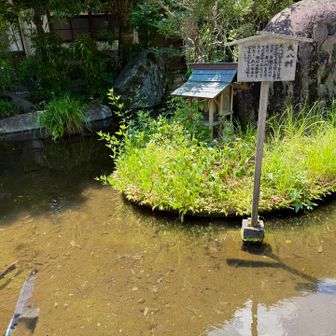 大八州のお庭