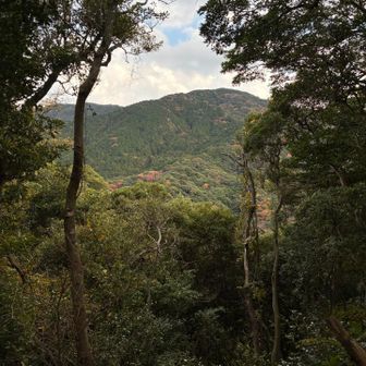 次に登る油山の山容