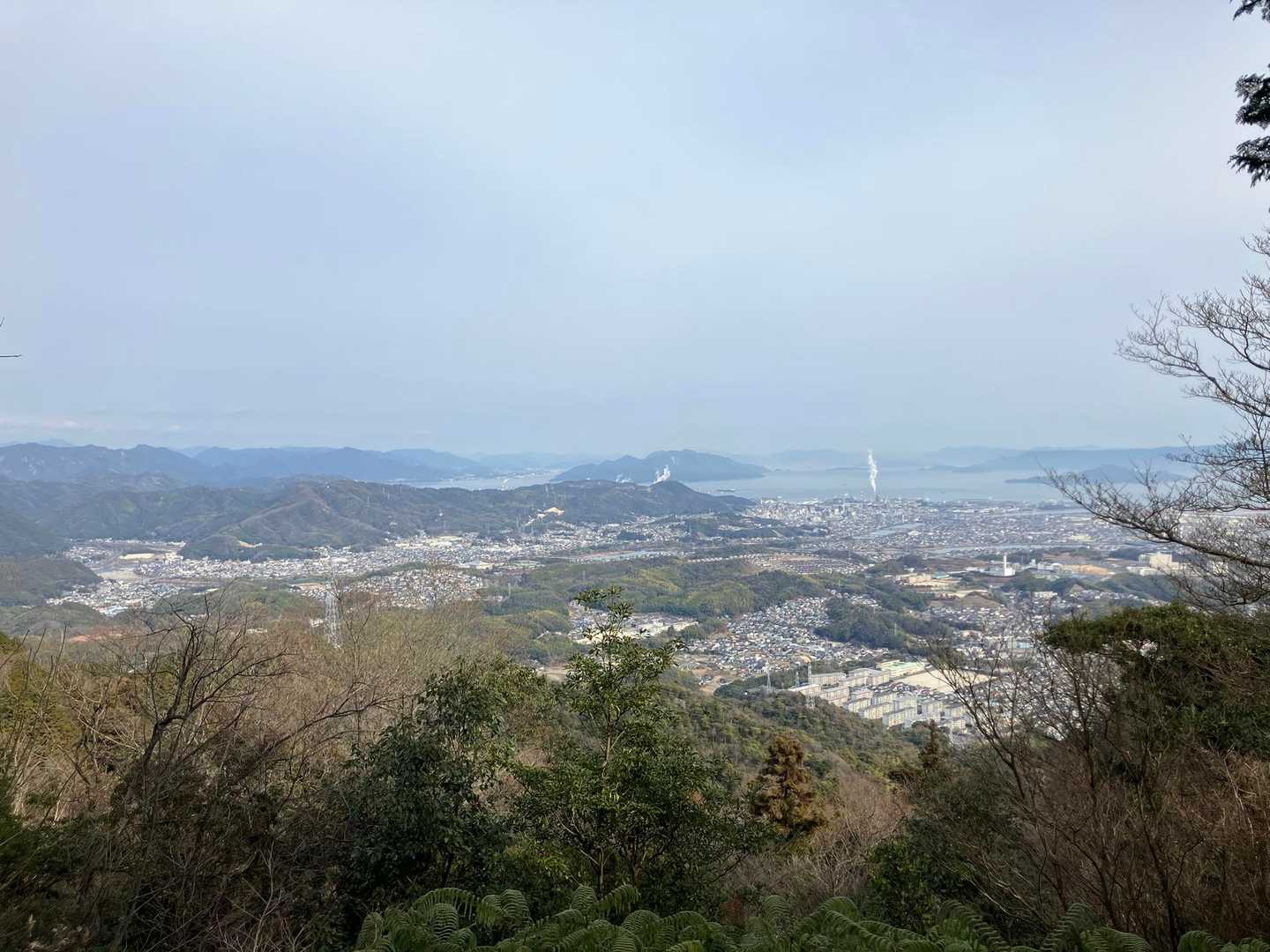 大応山麻生田コース登山口-大応山 往復コースの写真