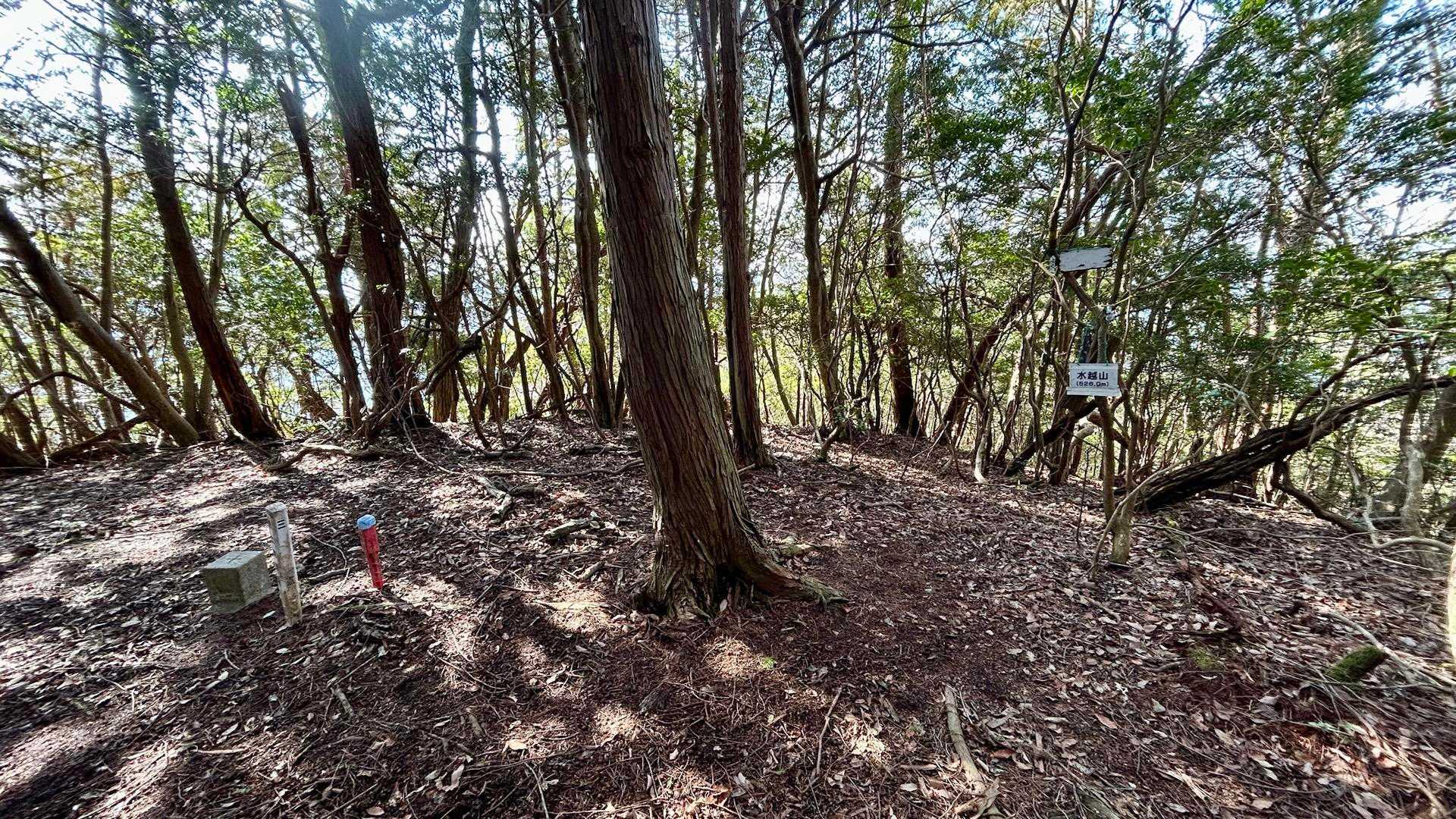 平坦尾根を少し歩いたら水越山に到着✌️