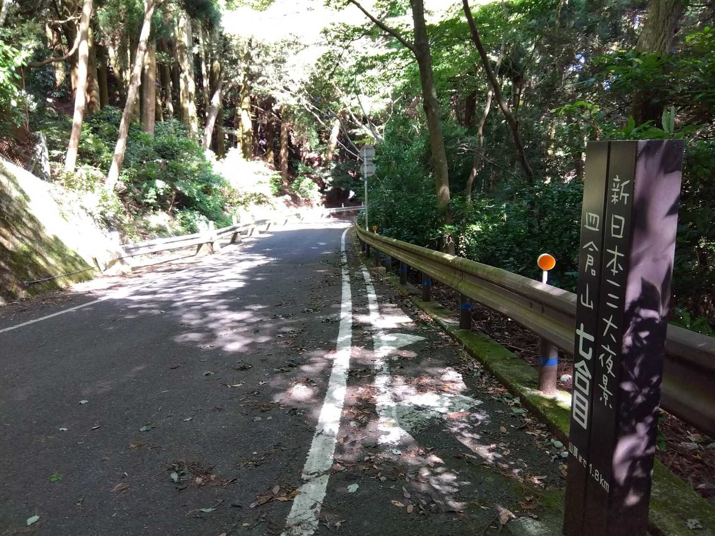 …カラス🐦‍⬛いっぱい…
集会していました🤔