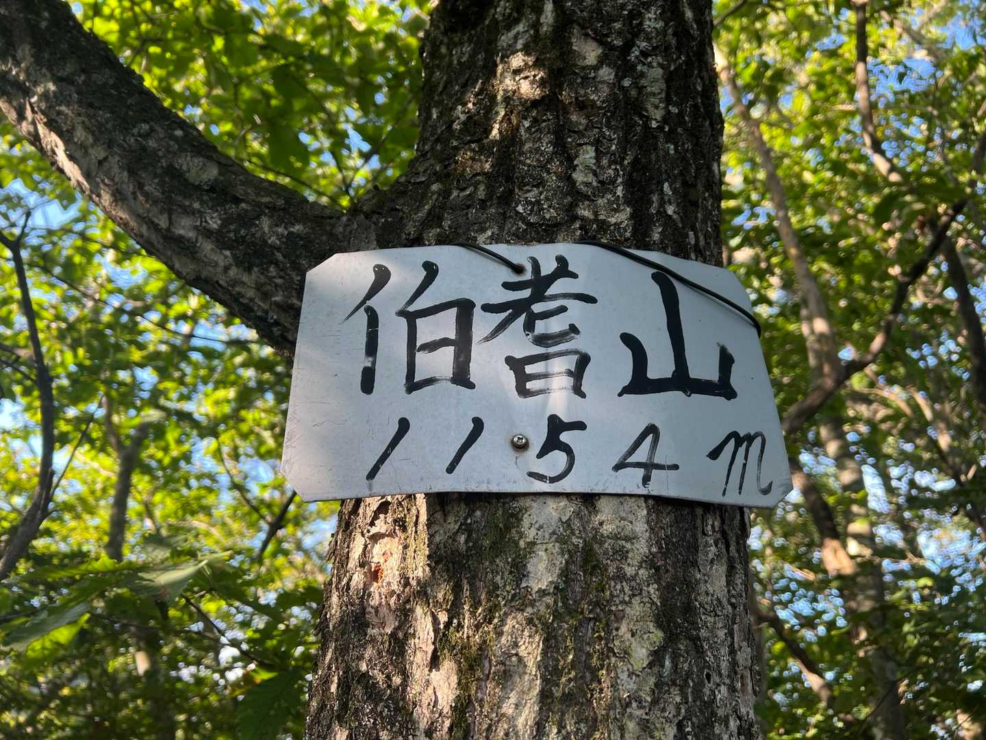 伯耆山  標高1154m
