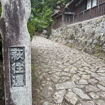 暫し舗装路歩き🚶‍♀️
萩往還に入る