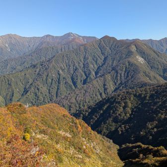 紅葉した山肌越しに見る雄大な朝日連峰✨️
大朝日岳、中岳、西朝日岳…いつかは登ってみたい。