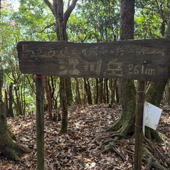 江川岳。ここは眺望なし。