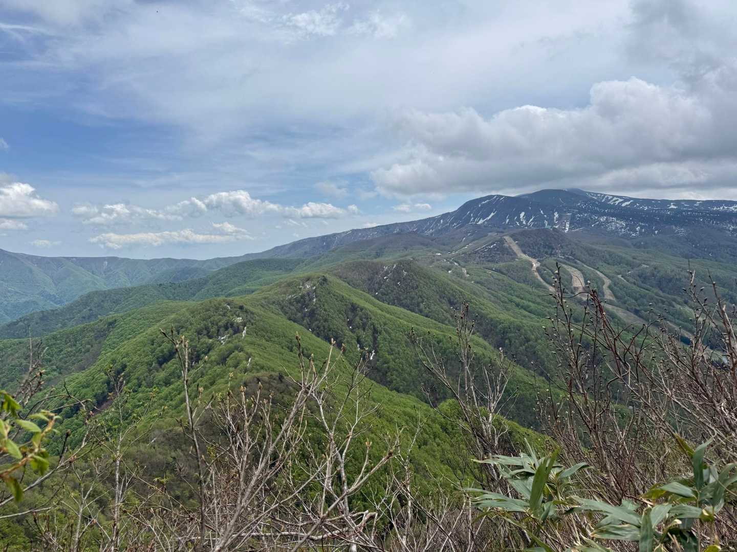 瀧山-コエド越え 周回コースの写真