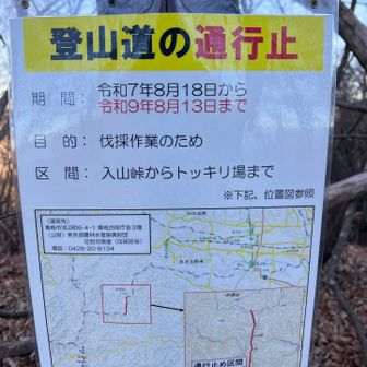 結構離れた場所の通行止も表示してくれているのですね