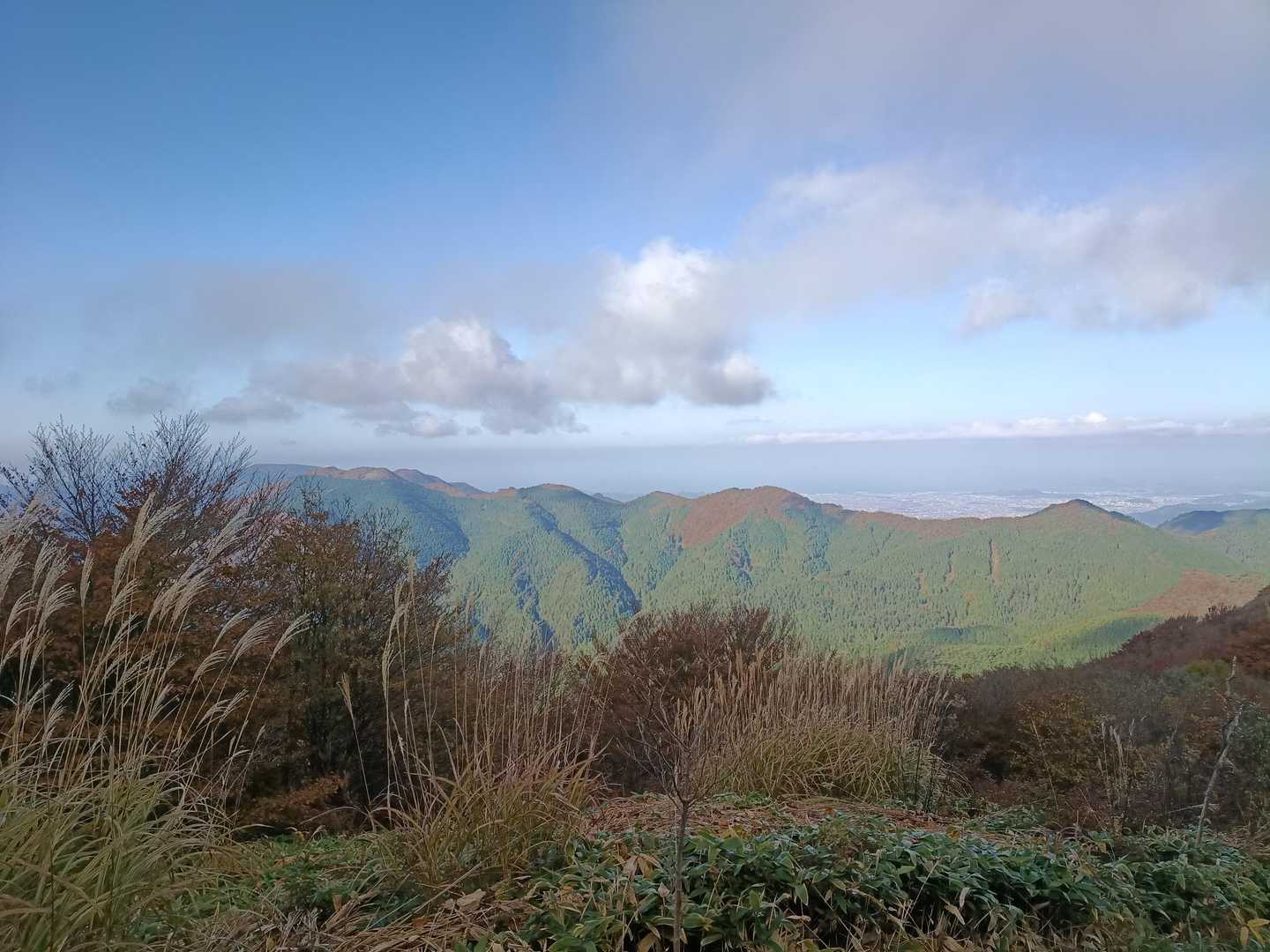 石墨山-法師山-白猪峠 縦走コースの写真