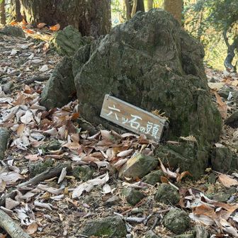 こぢんまりした岩が幾つかあったから🤭六ツ石なのかしら…