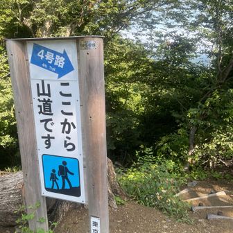 4号路が見えたのでここから降る💦
でもなんか涼しかった😅