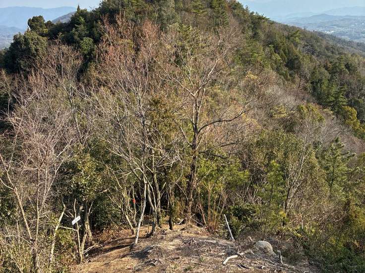 三ッ石登山口 （鬼ヶ臼山・朝日山・傾山 / 香川） / アクセス・地図・周辺情報 | YAMAP / ヤマップ