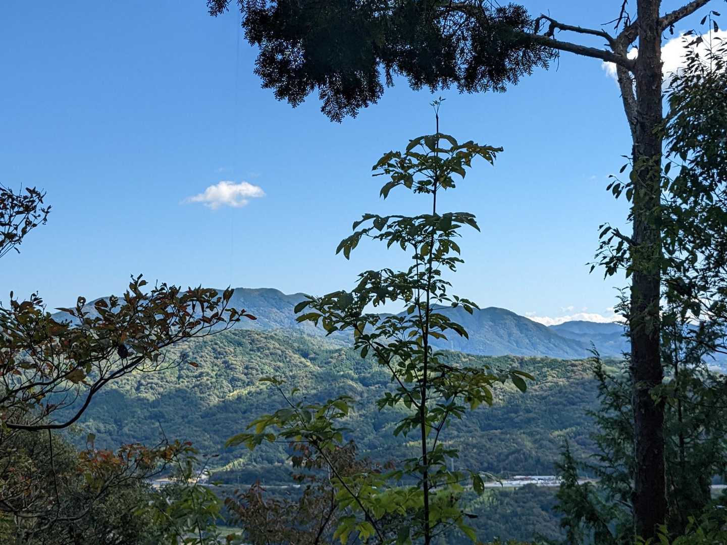 廿木山 往復コースの写真