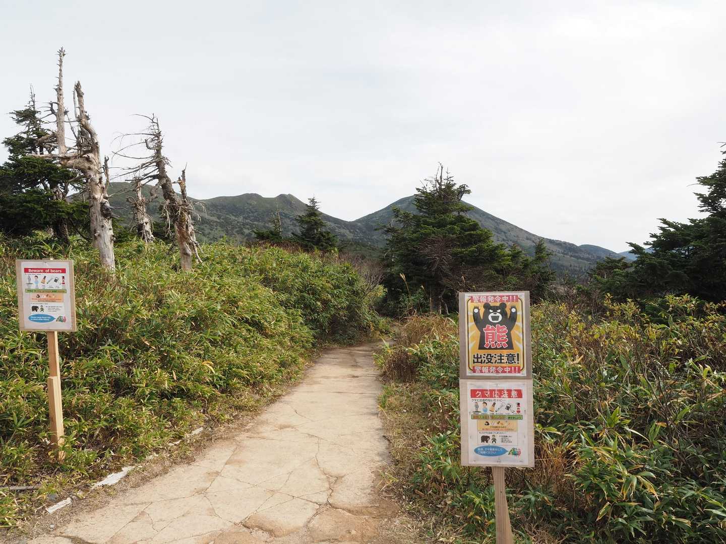 八甲田山は熊は注意ですね