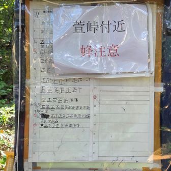 「萱峠」の標識の古いほうに、スズメバチの巣があります！気を付けて！⚠️