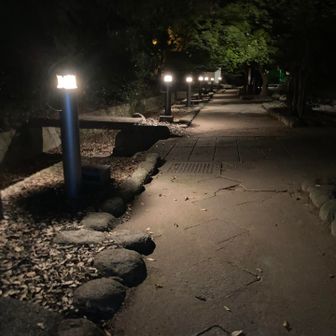お帰りの路