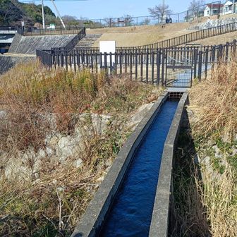 尺治川砂防堰堤（遺跡）は水路橋で渡るが・・・