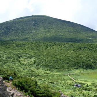 湿原におります