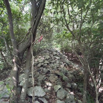 山頂はちょっとわかり難かった