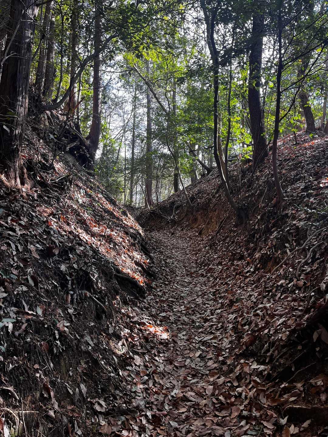 海上の森登山口-物見山 往復コースの写真