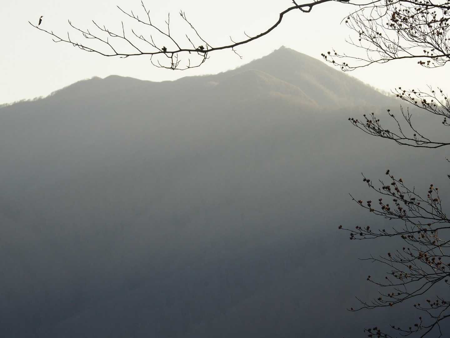 望遠で撮影。太平山が遥か遠くに見えます。